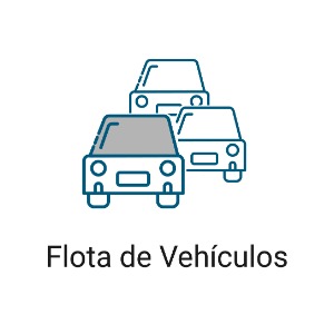  Seguro para flota de vehículos